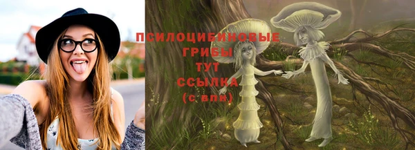 а пвп мука Алзамай